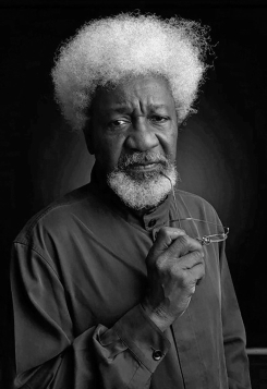 Wole Soyinka Poets Picture